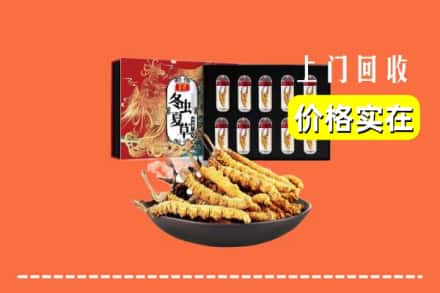 聂拉木县回收冬虫夏草